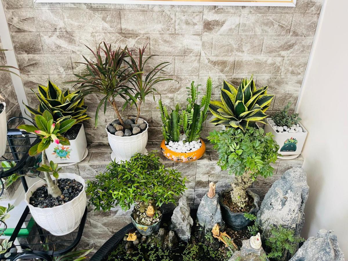 Duy Canh Homestay Chi Khu Co Ong Dış mekan fotoğraf